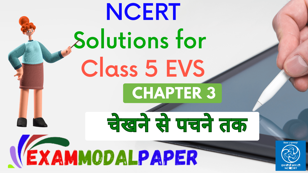NCERT solutions for class 5 chapter 3 चखने से पचने तक
