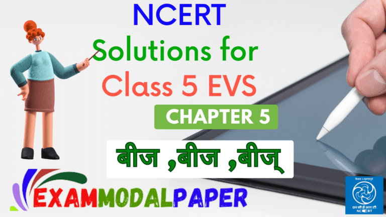 NCERT Solutions for Class 5 EVS Chapter 5 बीज ,बीज ,बीज्.